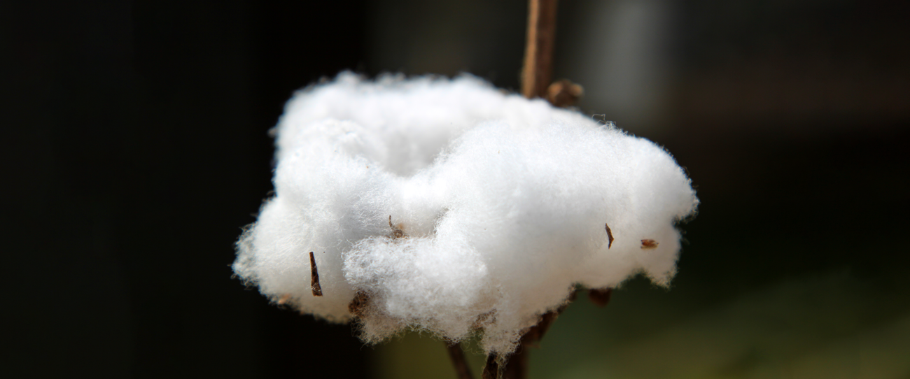 Snowflake: Ein Cloud DWH auf Basis von Azure