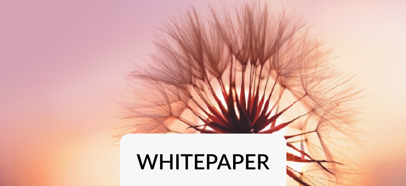 Whitepaper 6