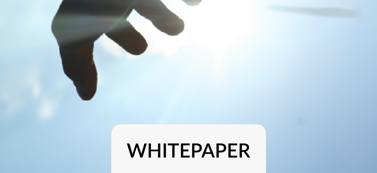 Whitepaper 9