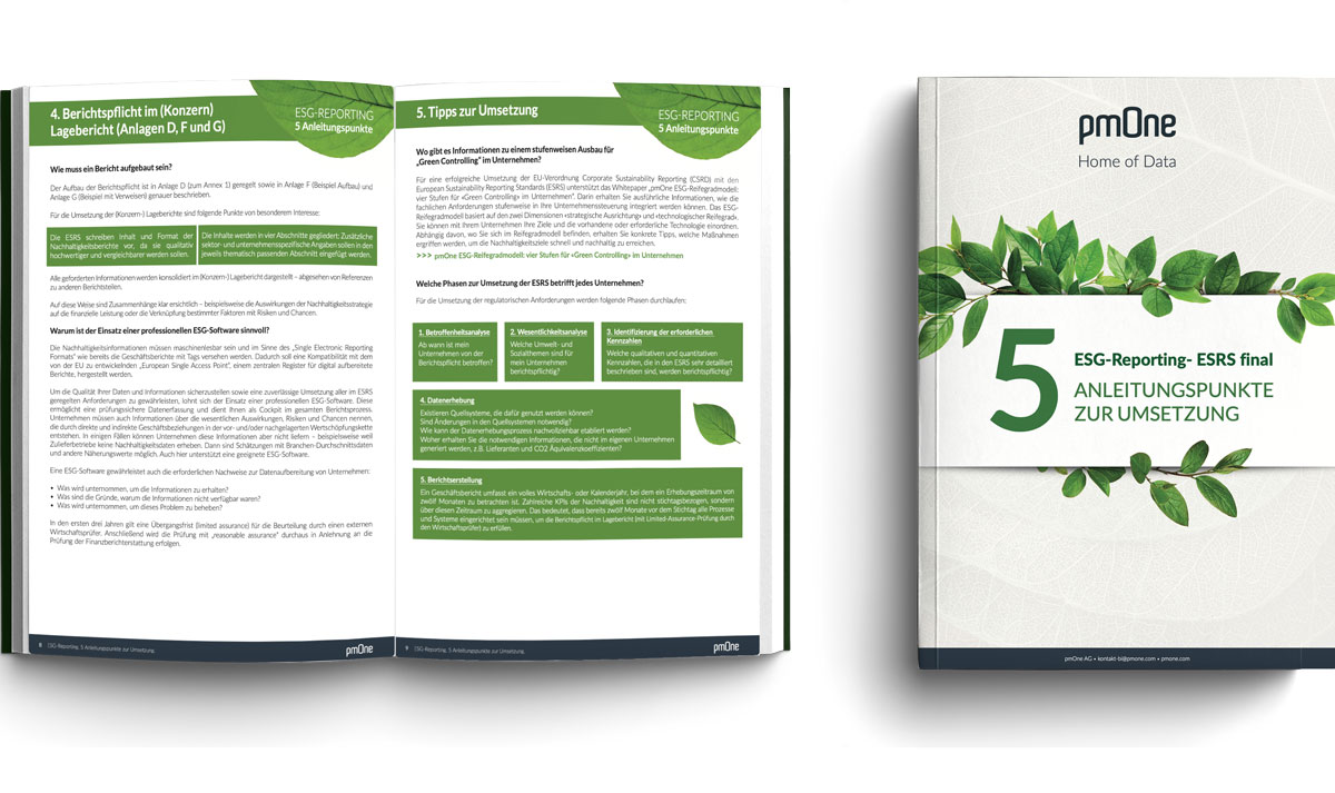 ESG Reporting Vorschau PDF